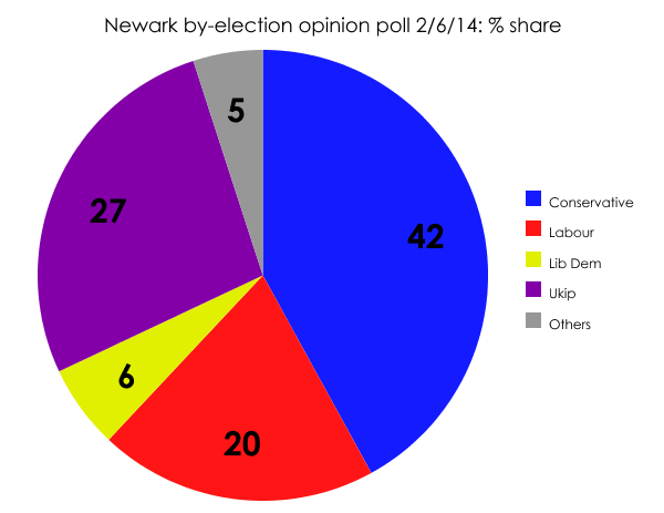Newark opinion poll 2 June 2014