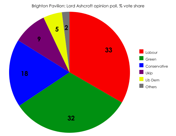 Brighton Pavilion opinion poll